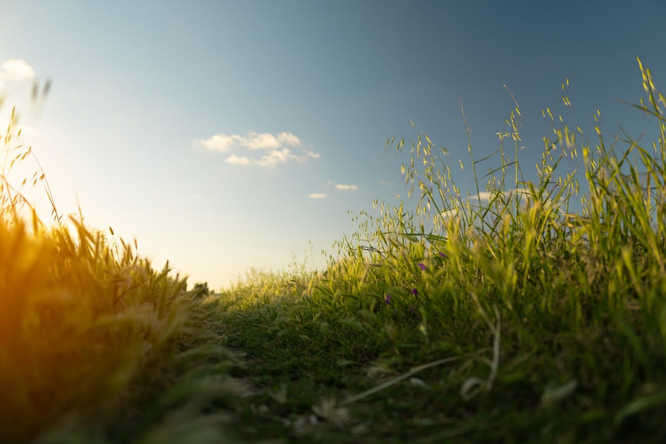 Jeunesses et ruralité : chiffres, initiatives, projets