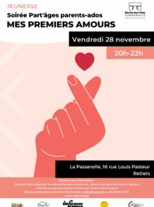 Affiche IJ Roche aux Fées