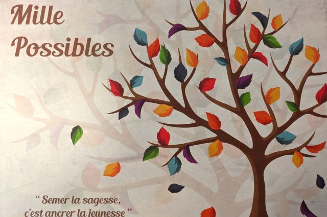adij22-couv-mille-possibles