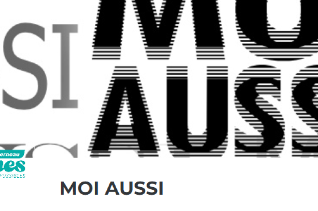 moi_aussi_landerneau